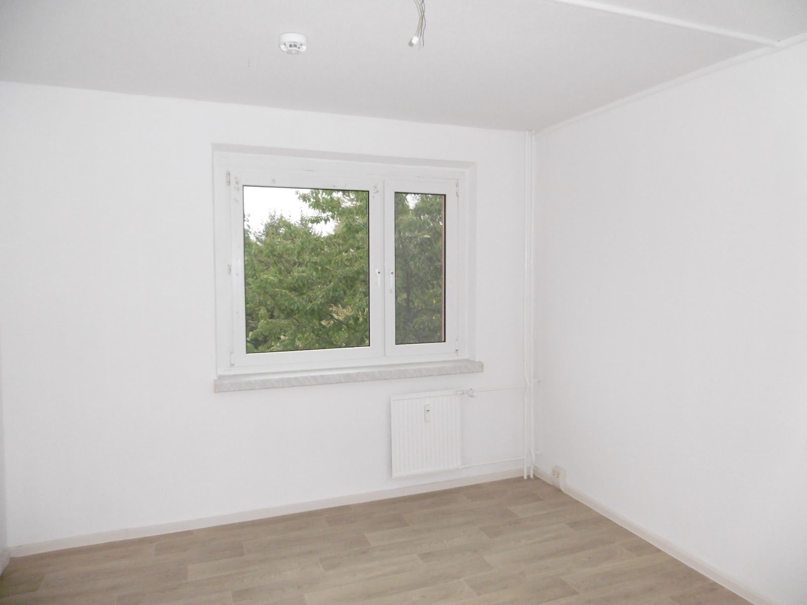 Wohnung Johannes-Thal-Straße in Nordhausen