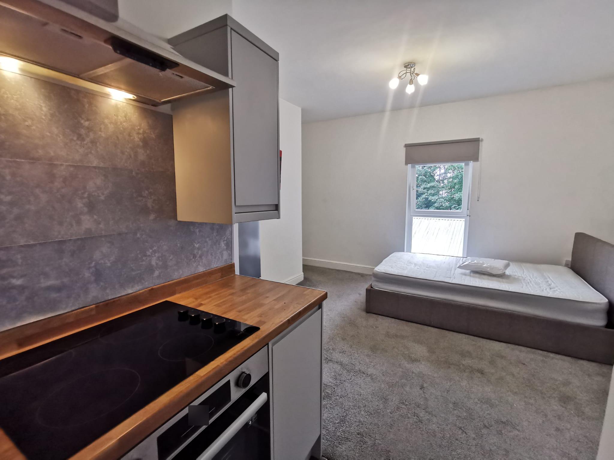 Flat Mount Pleasant in Swansea
