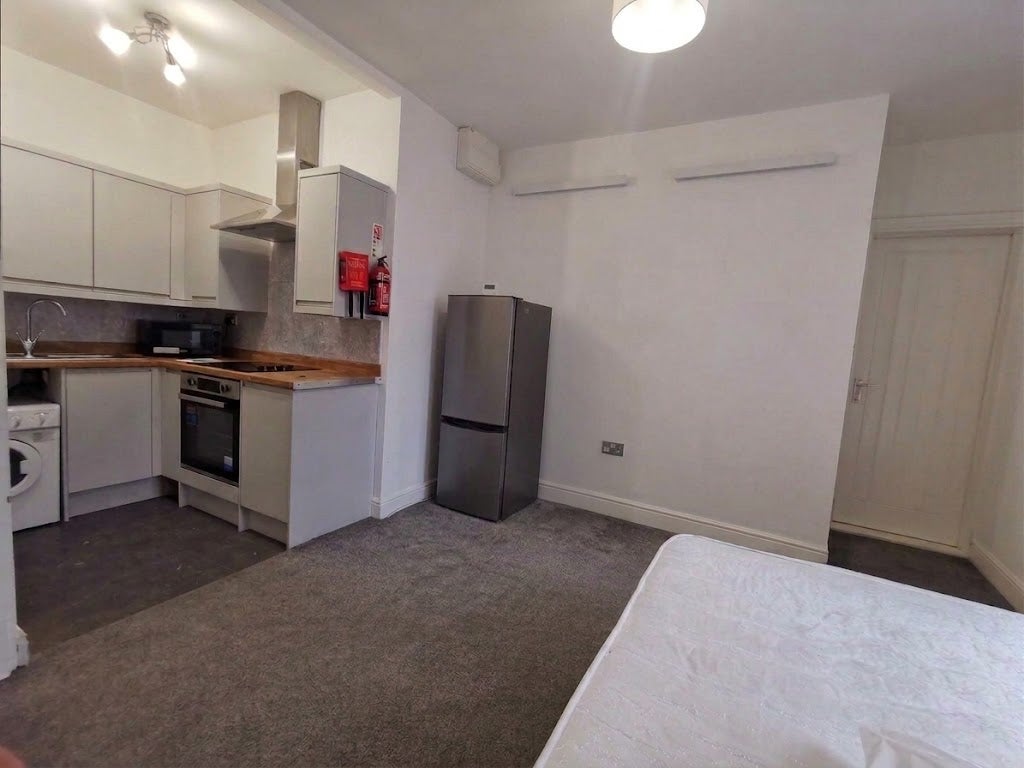 Flat Mount Pleasant in Swansea