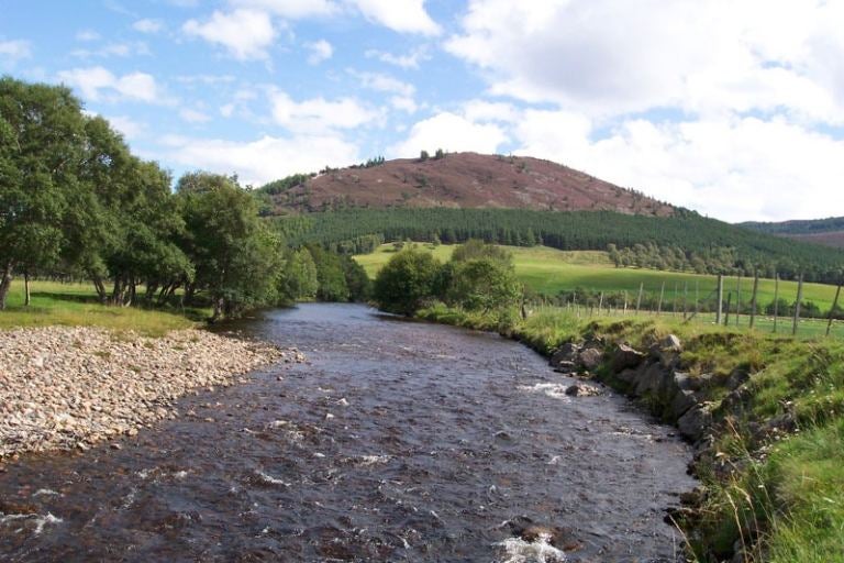 Flat Glebe Park in Banchory