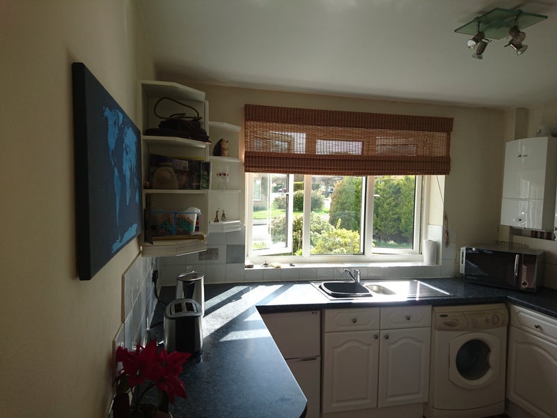 Room Blackmoor Wood in Chavey Down