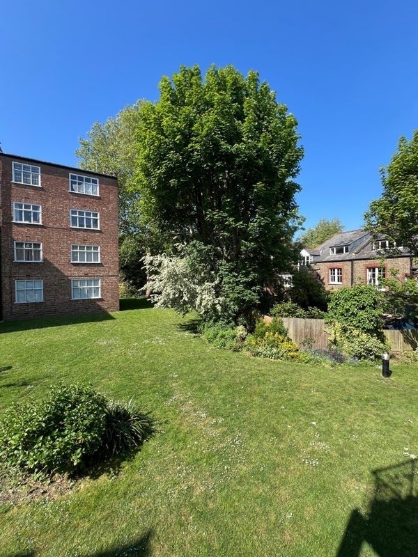Room Haslemere Road in Greater London