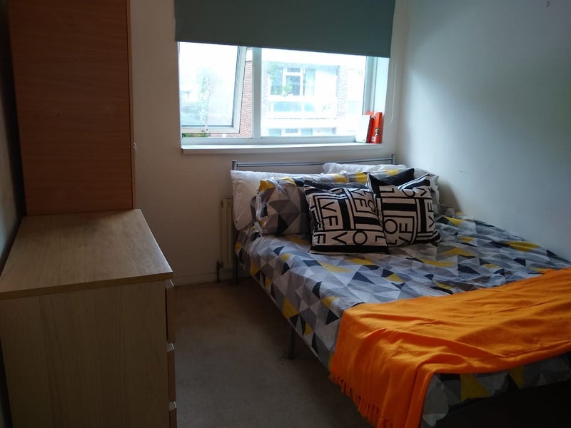 Room Daley Street in Greater London
