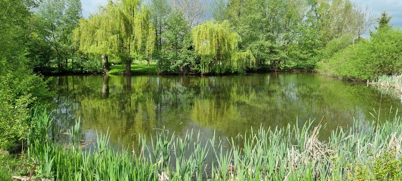 Wohnung Am Teich in Adlum