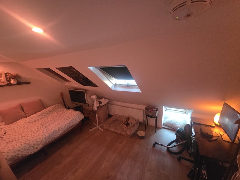 Room Westbury Road in Greater London