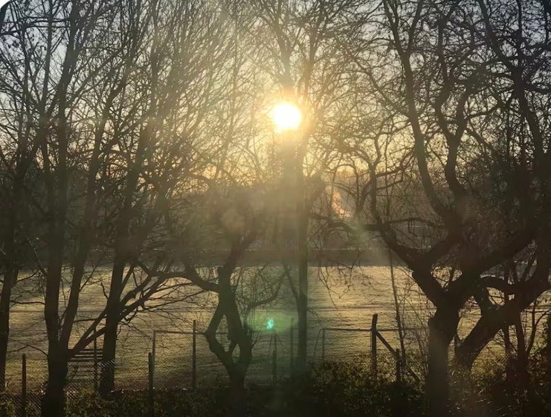 Flat Westfields in Greater London