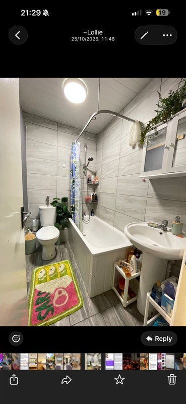 Room Shacklewell Lane in Greater London