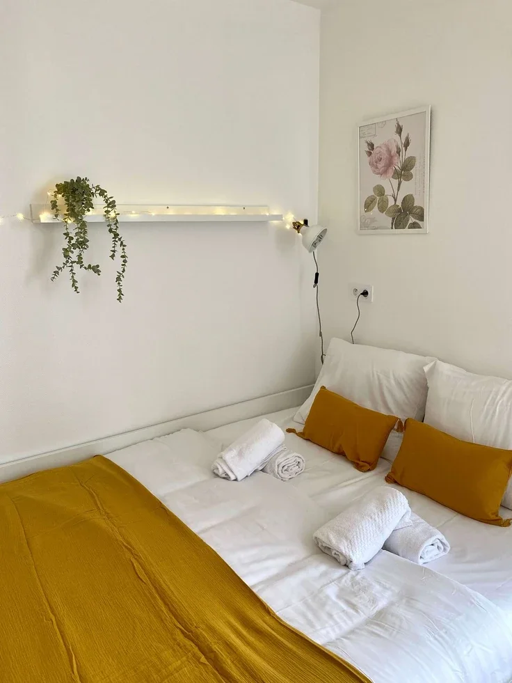 Flat Rue Olivier de Serres in Paris