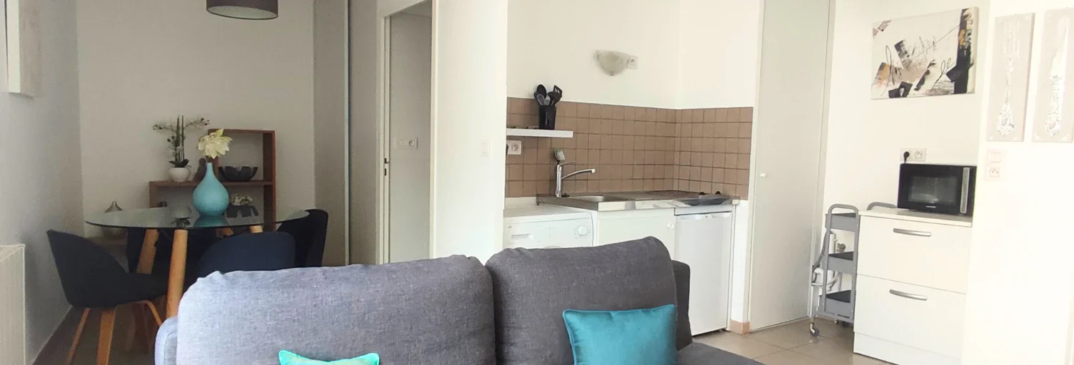 Appartement Avenue Debrousse à Lyon
