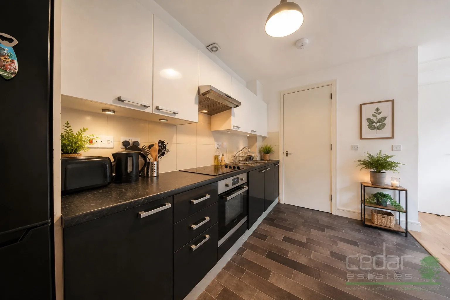 House Rye Lane in Greater London