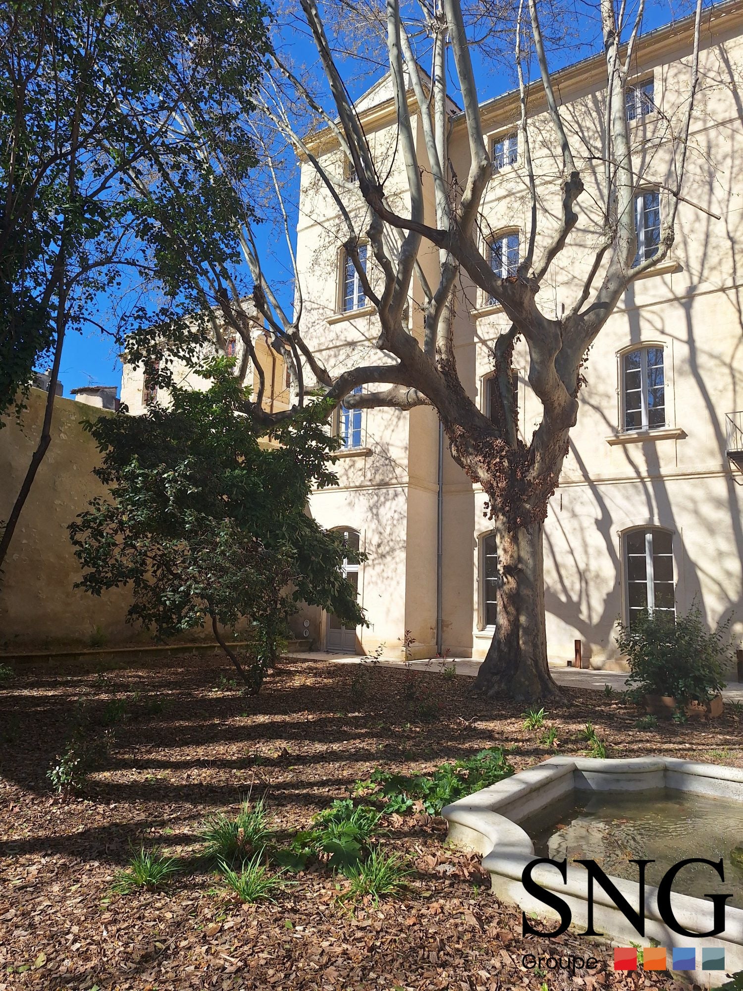 Maison Rue Grivolas à Avignon