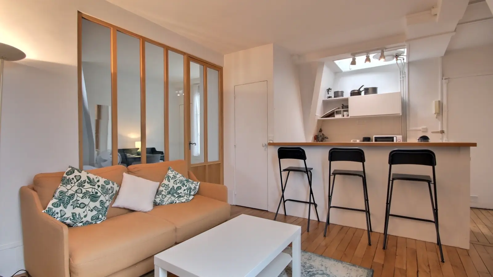 Flat Avenue Trudaine in Paris