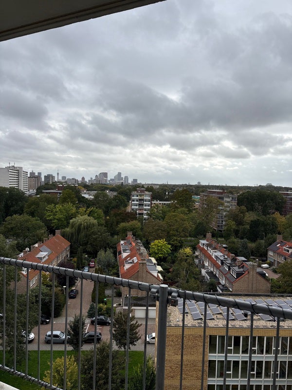 Flat Elviraland in Den Haag
