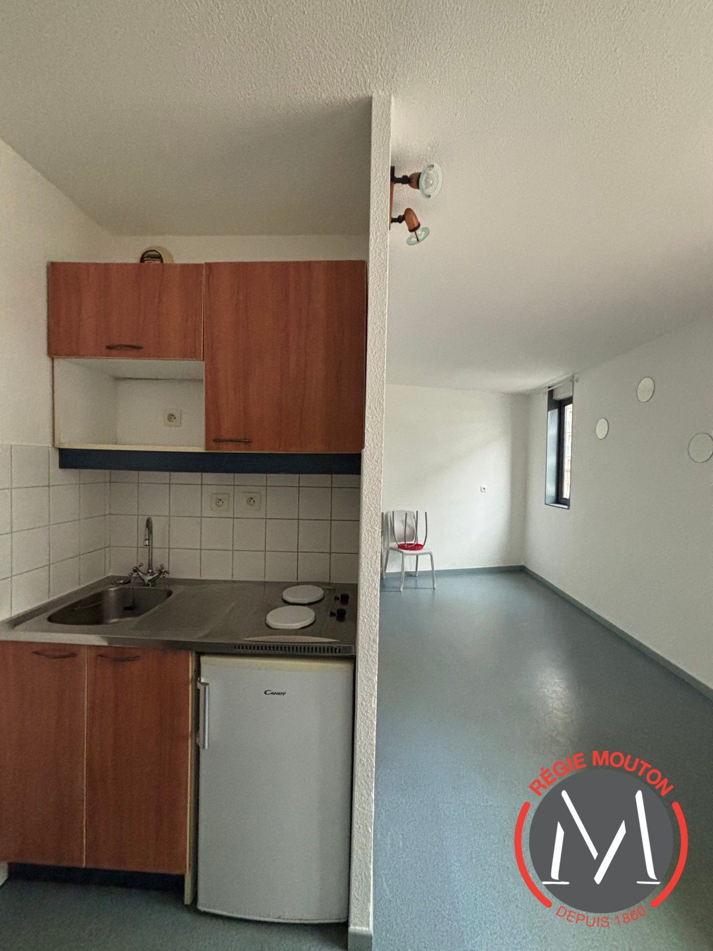 Appartement Avenue Lacassagne à Lyon