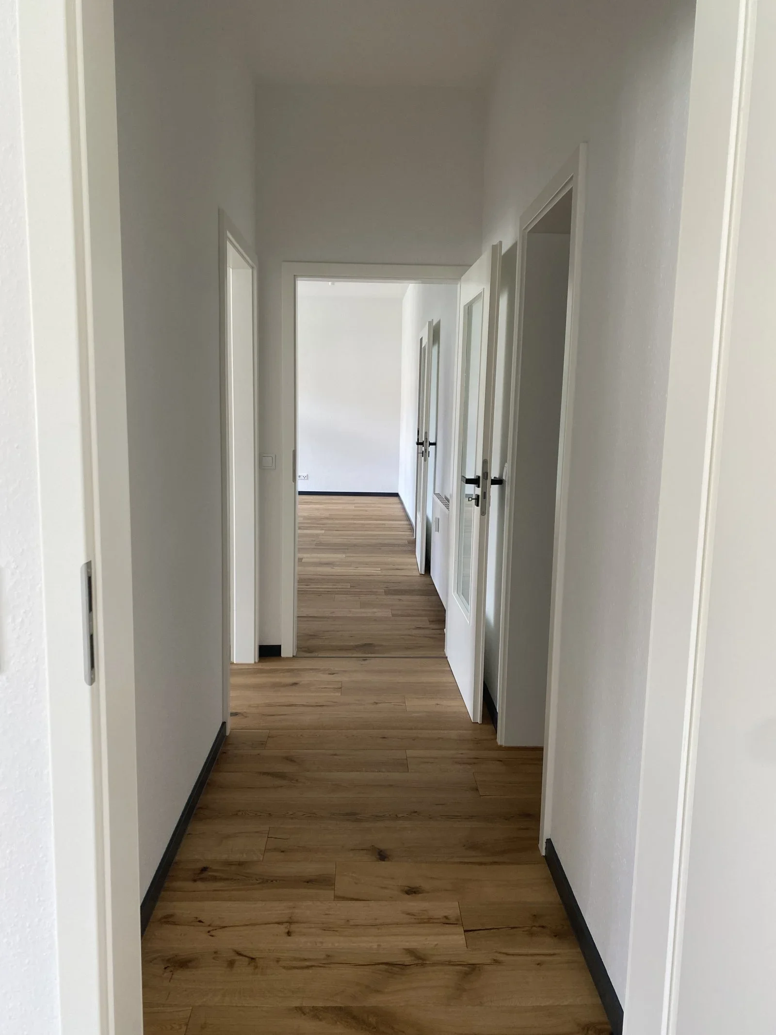 Wohnung Lassallestraße in Zwickau