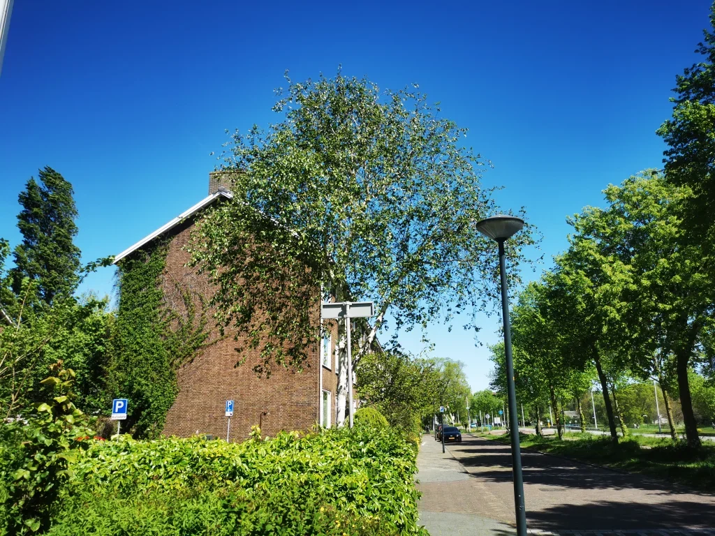 Appartement Kanaalweg in Leiden