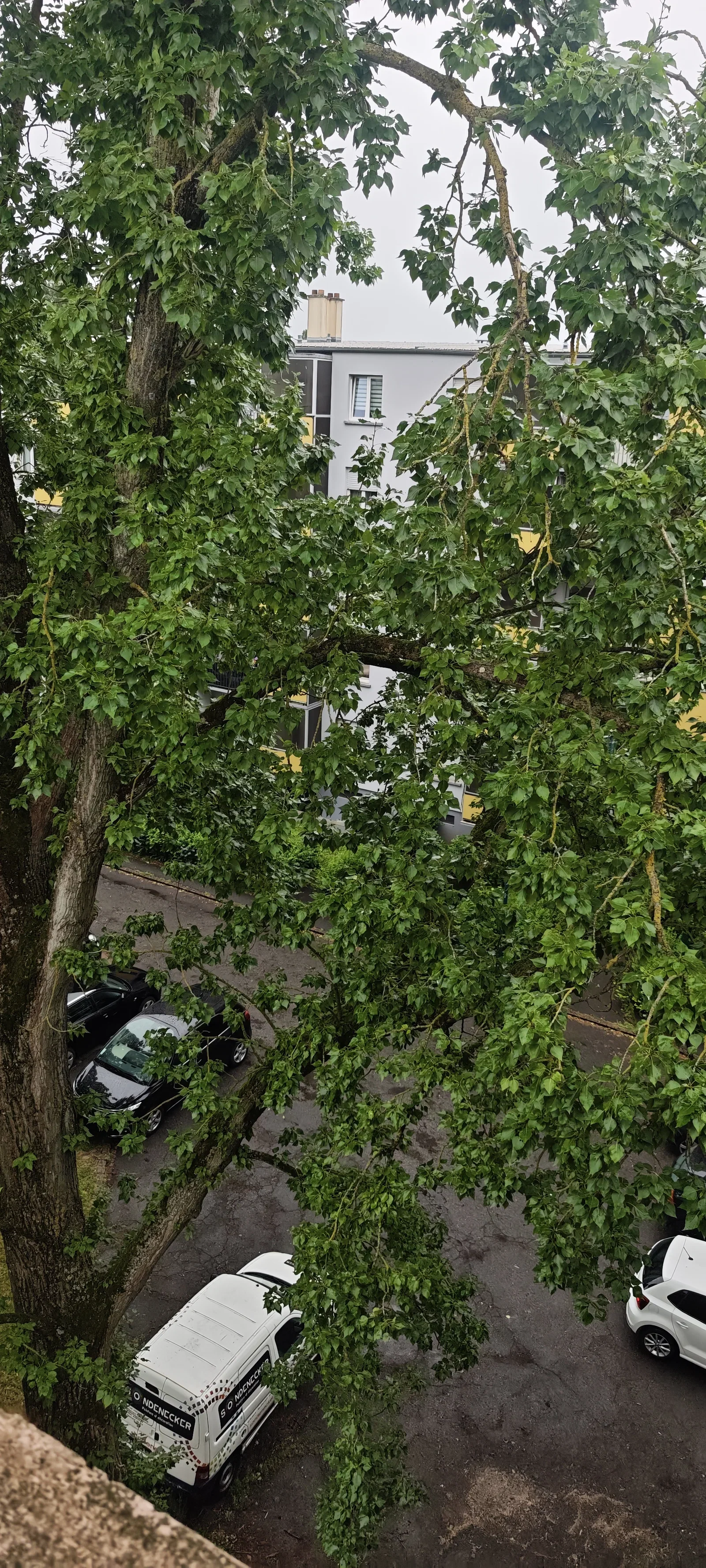 Chambre Rue du Lézard à Mulhouse