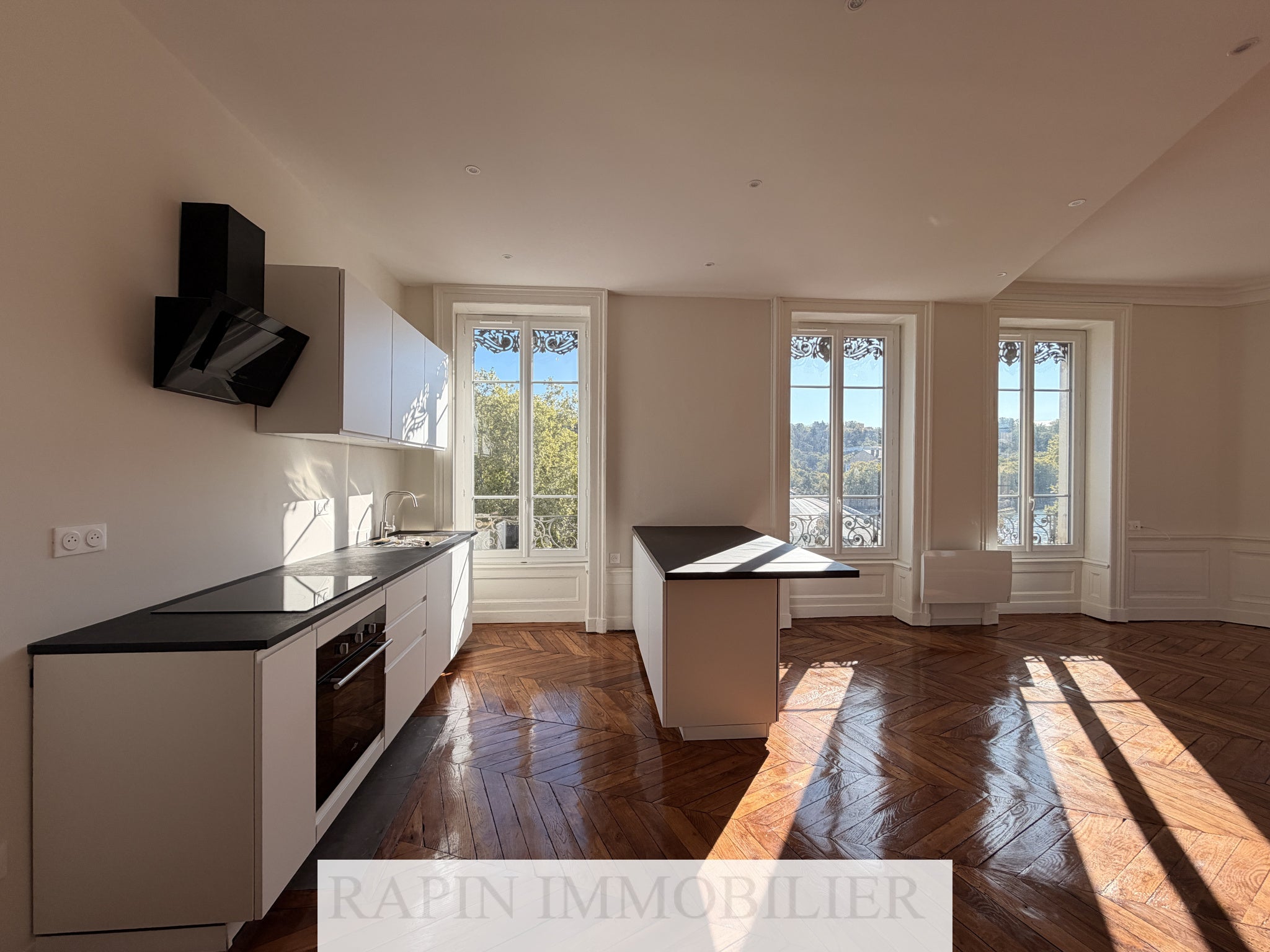 Appartement Rue Rhin et Danube à Lyon