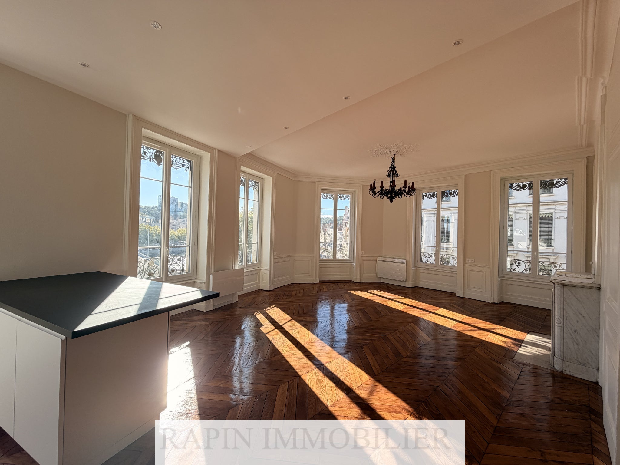 Appartement Rue Rhin et Danube à Lyon