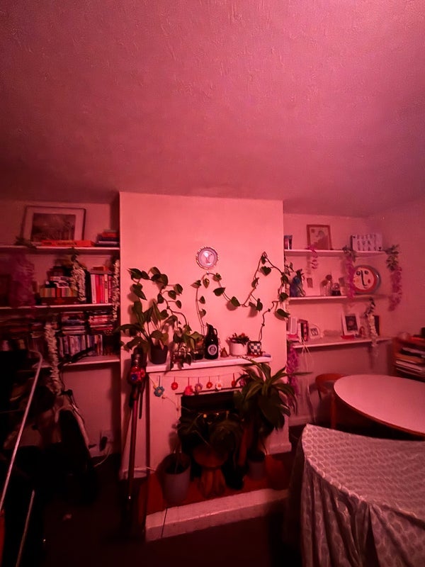 Room Cavendish Street in Greater London