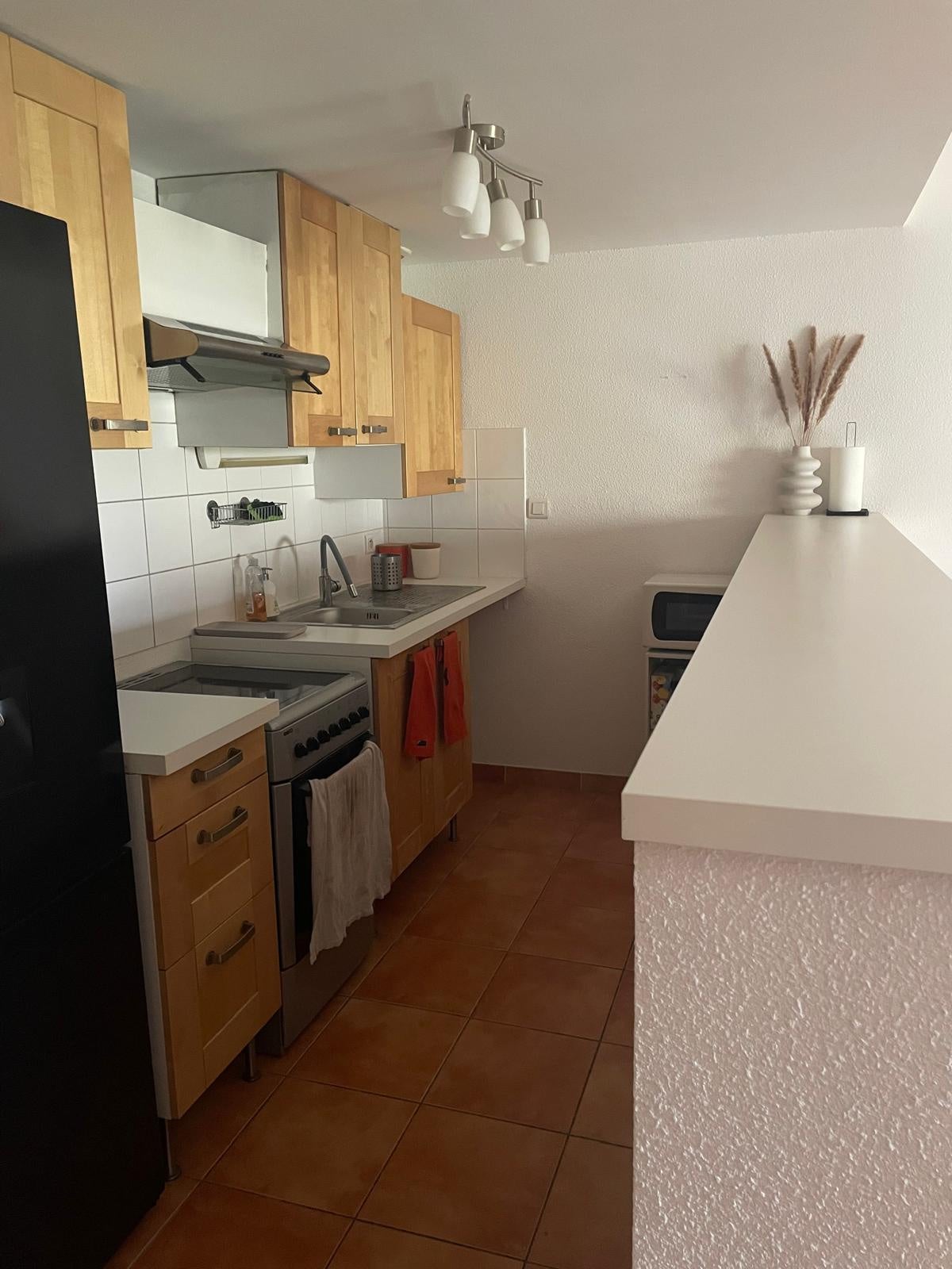 Appartement Rue Marcelin Berthelot à Castelnaudary