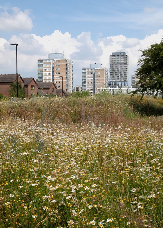 Flat Hind Grove in Greater London