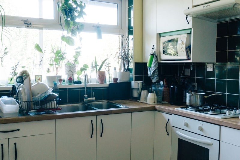 Flat Hind Grove in Greater London