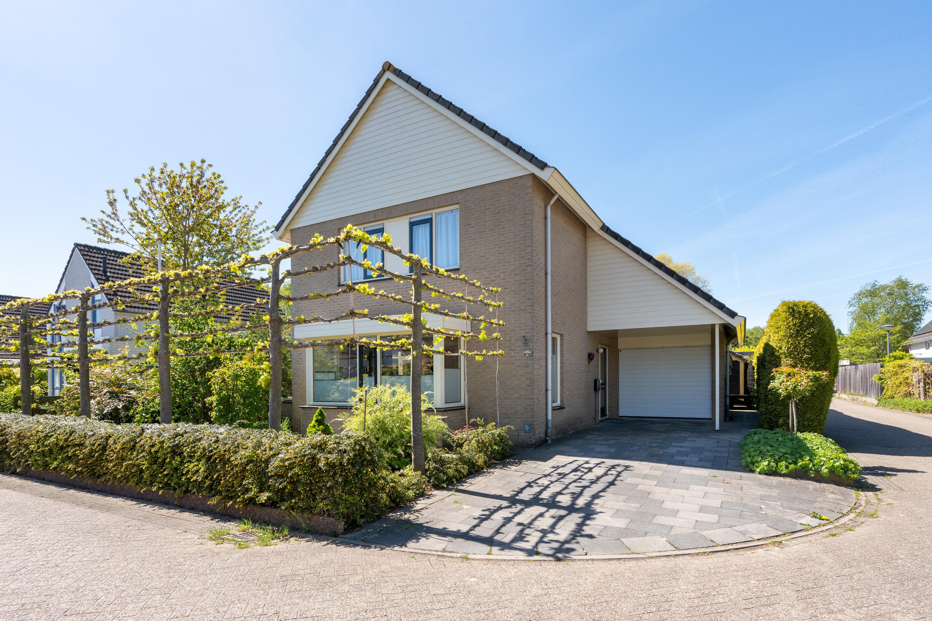 Rietgans 1 in Emmen