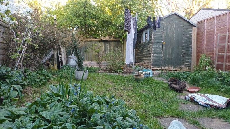 Room Caldicot Close in Oldland Common