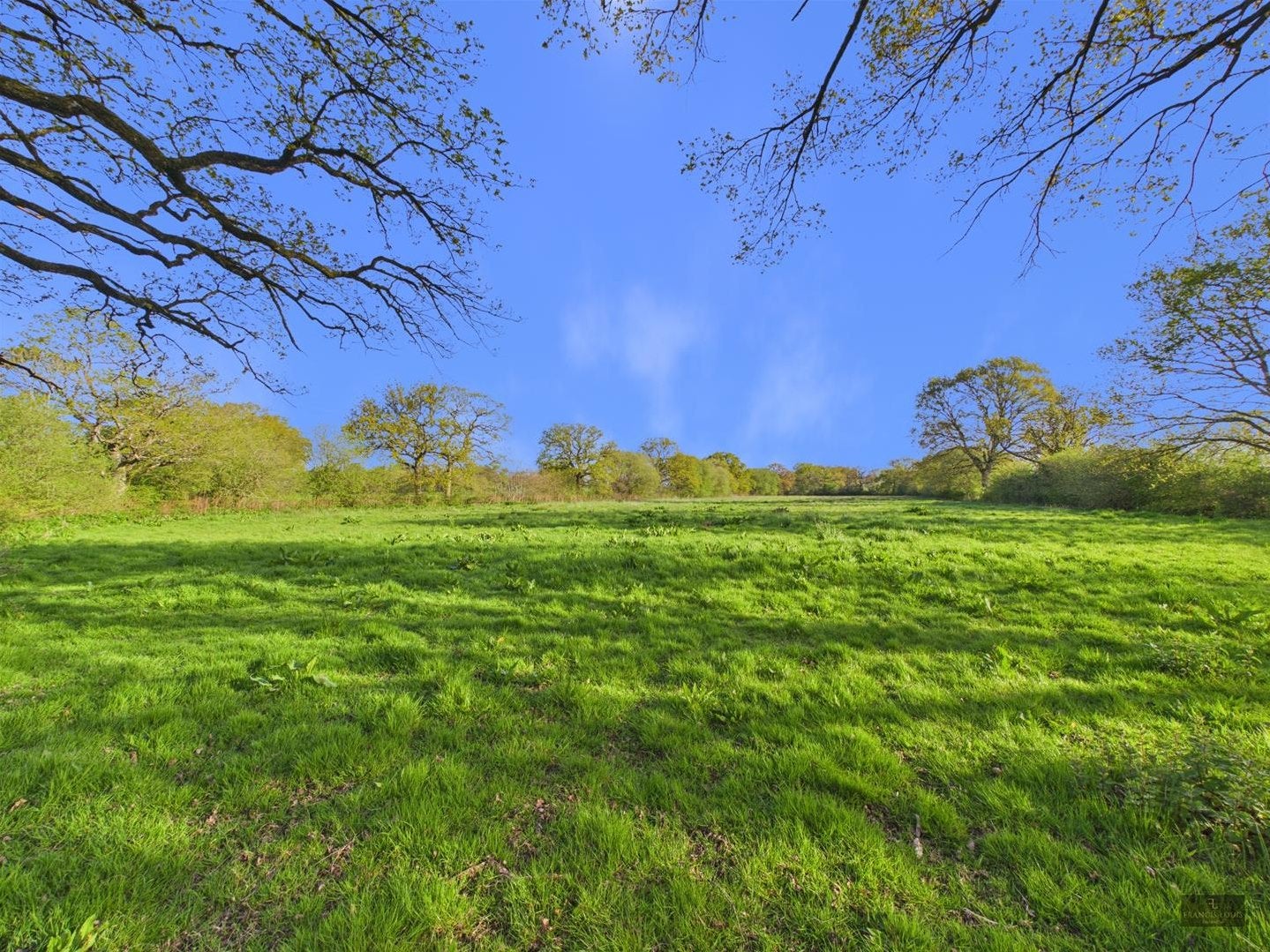 House Tyes Orchard in East Devon