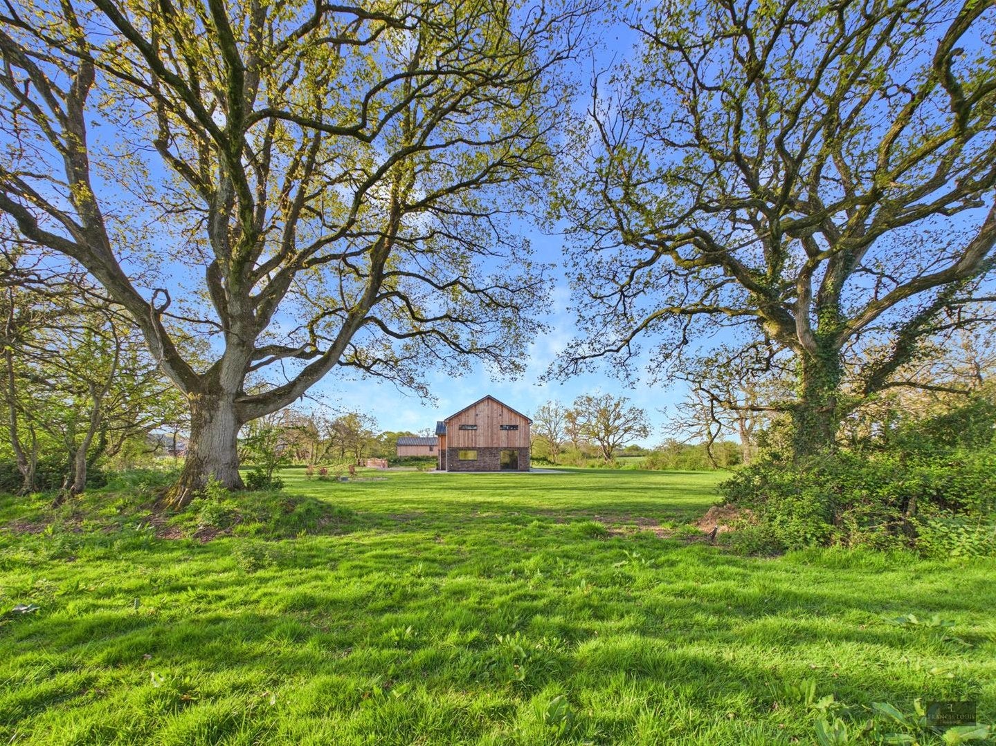 House Tyes Orchard in East Devon