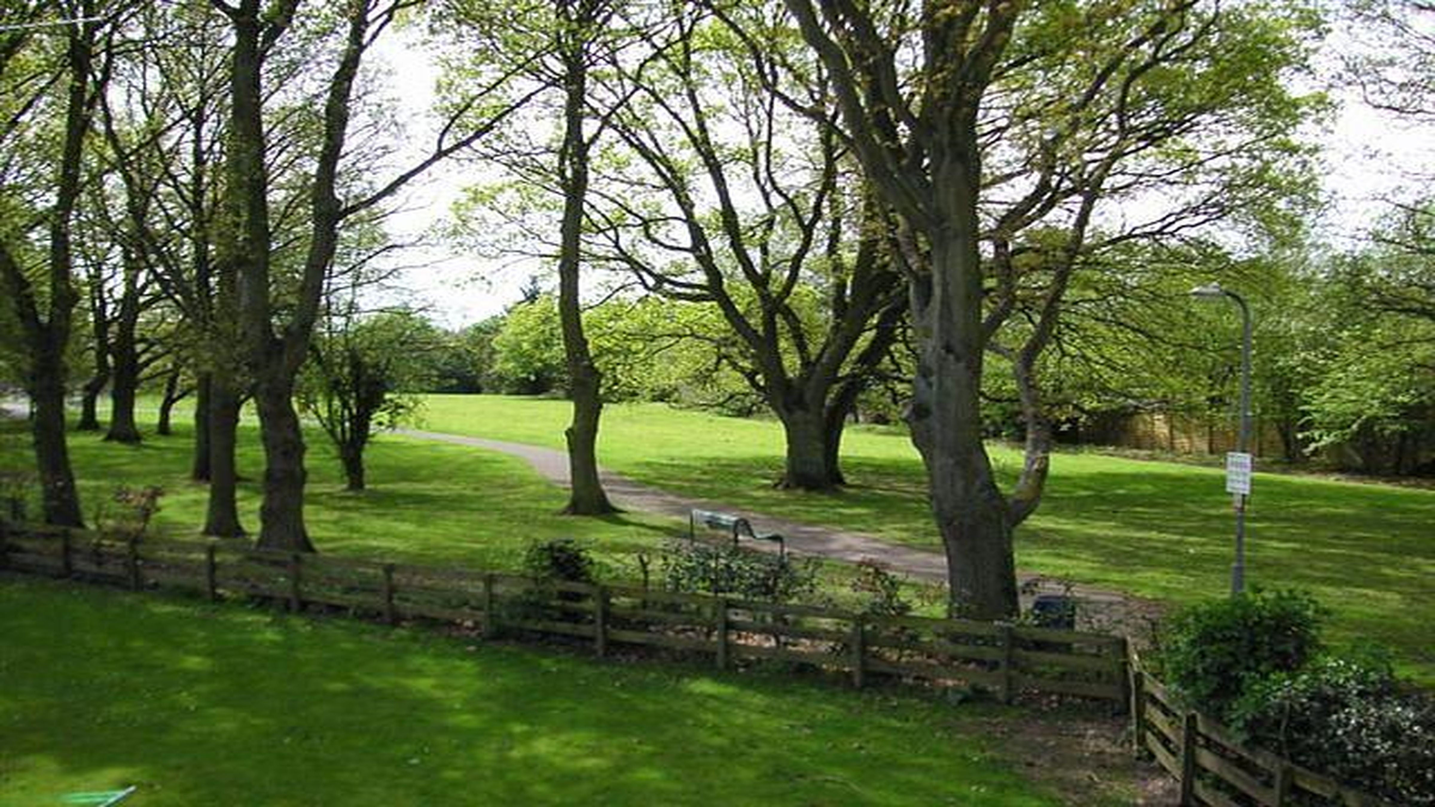 Flat Birch Grove in Hart