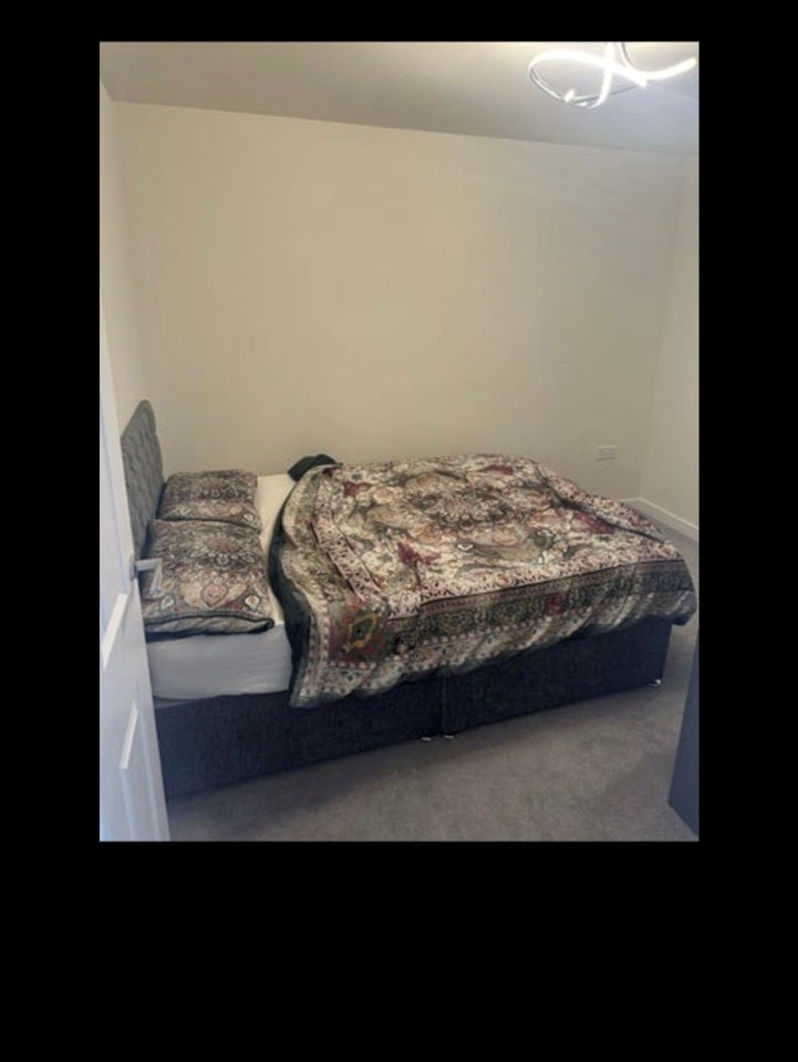 Room Belgrave Avenue in Borough of Swale