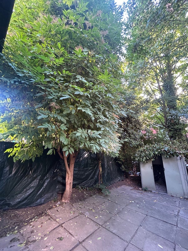 Flat Penderyn Way in Greater London