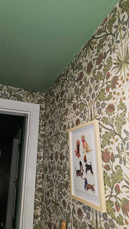 Room High Street in Dalkeith