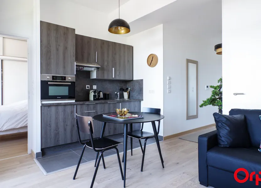 Flat Rue Desaix in Lyon