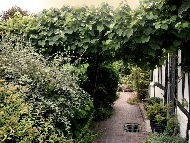 Chambre Rue du Château à Fay-les-Étangs