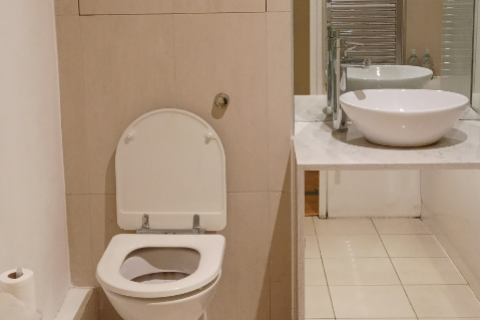 Flat Plumbers Row in London