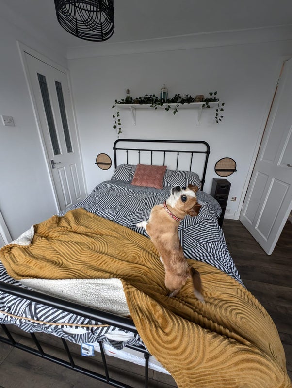Room Sandon Place in Widnes