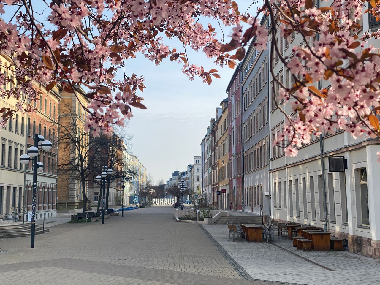 Wohnung Brühl in Chemnitz