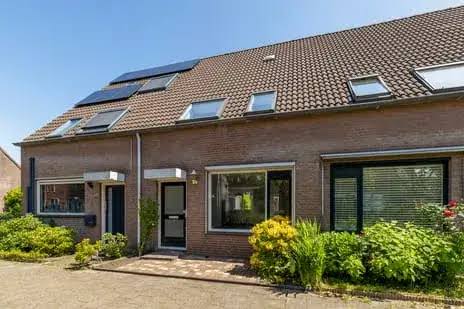 Flat Schijfmos in Nieuwerkerk aan den IJssel