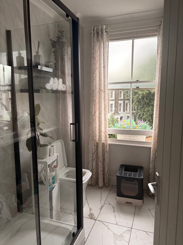 Room Elmore Street in Greater London