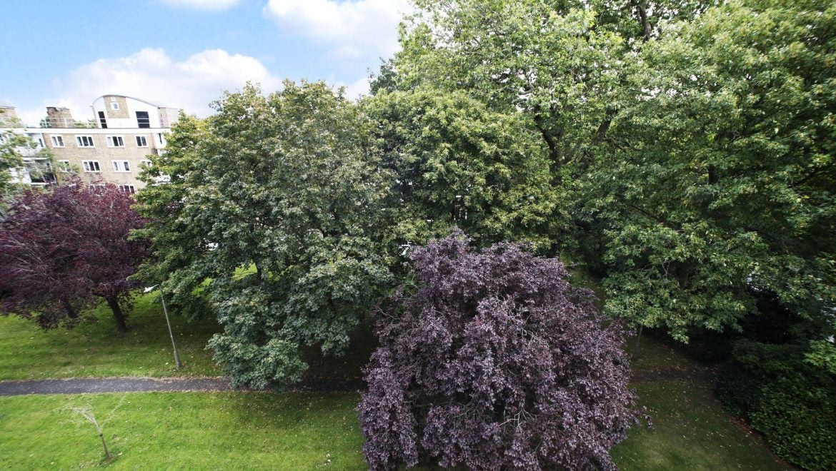 Flat Innes Gardens in Greater London