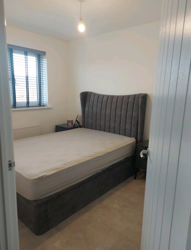 Room Tulip Avenue in Newcastle upon Tyne