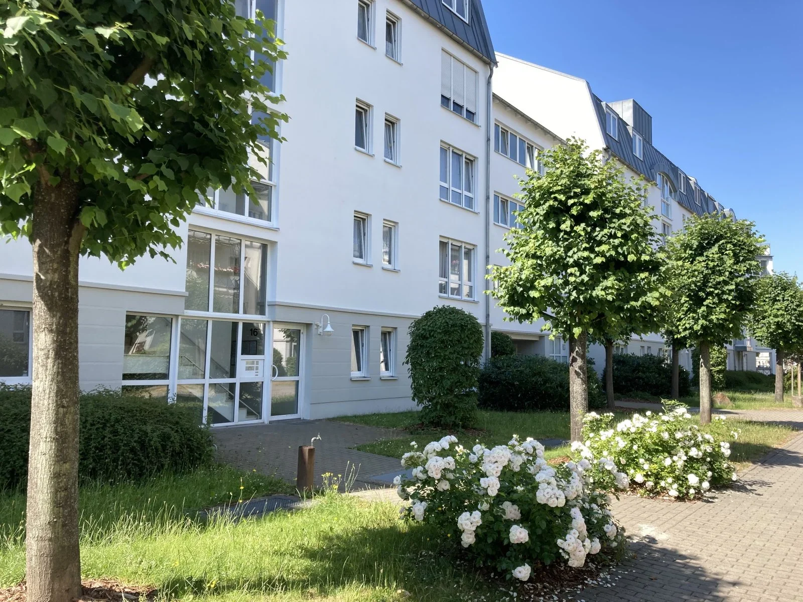 Wohnung Thomas-Mann-Straße in Zwickau