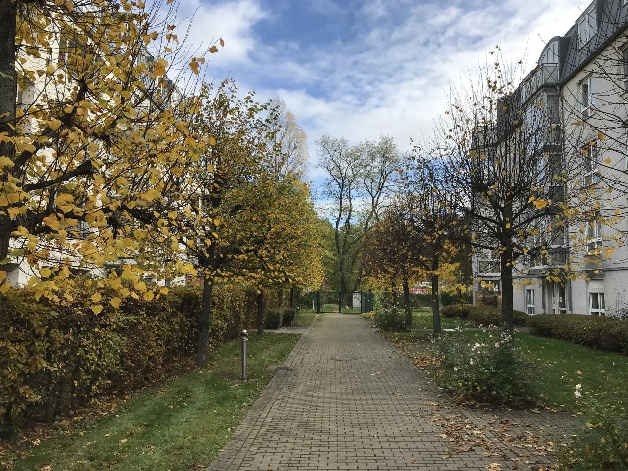 Wohnung Thomas-Mann-Straße in Zwickau