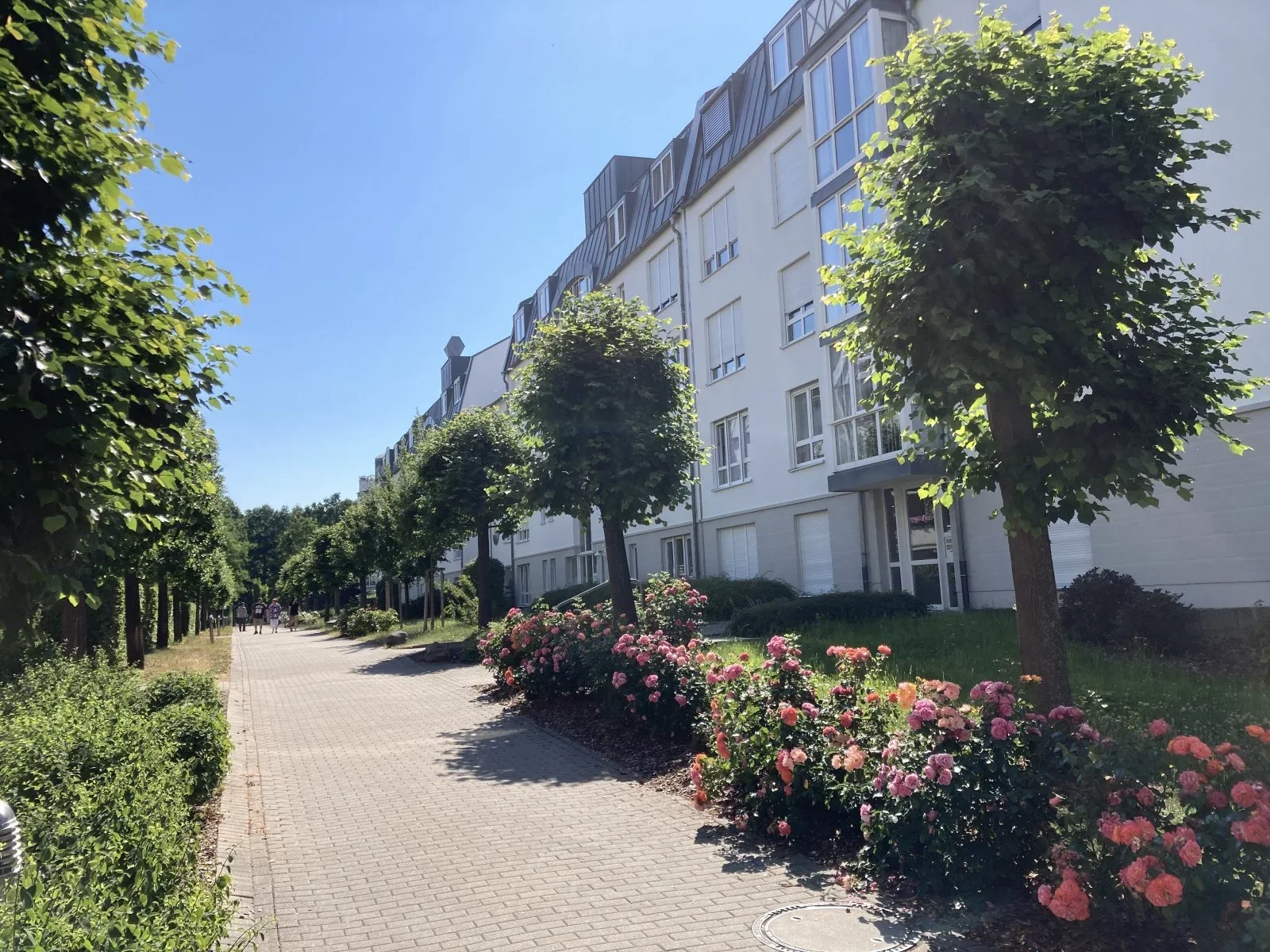 Wohnung Thomas-Mann-Straße in Zwickau