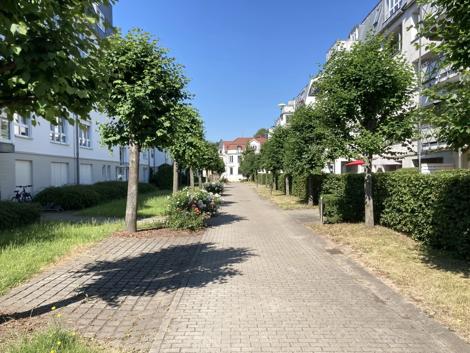 Wohnung Thomas-Mann-Straße in Zwickau