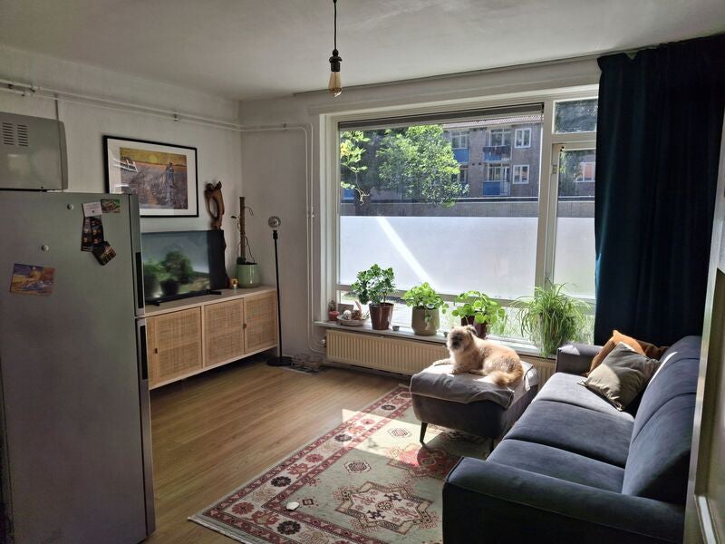 Flat van Musschenbroekstraat in Den Bosch