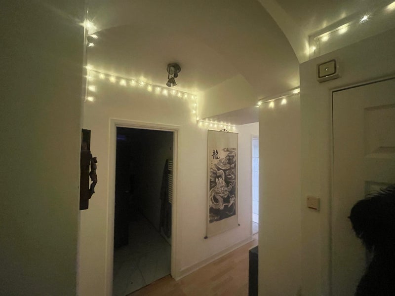 Room Woodland Road in Bristol